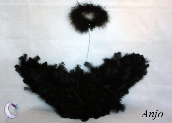 Asa Anjo média - Image 2