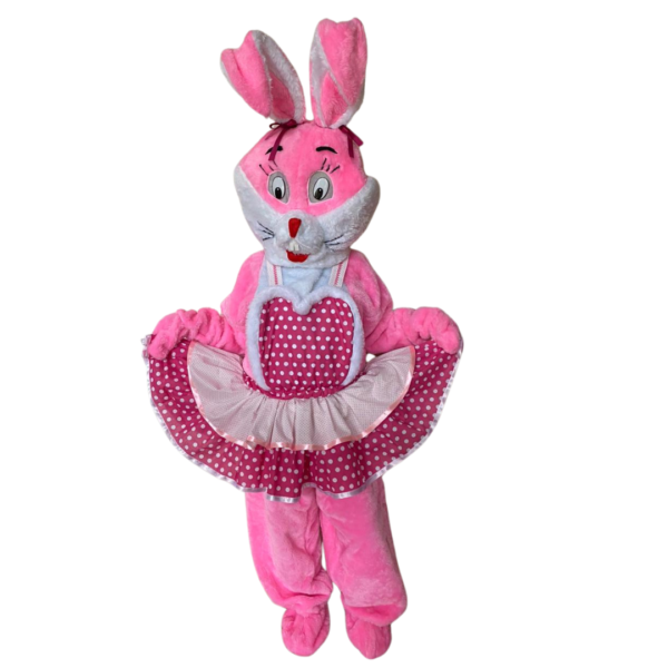 Coelho Mascote