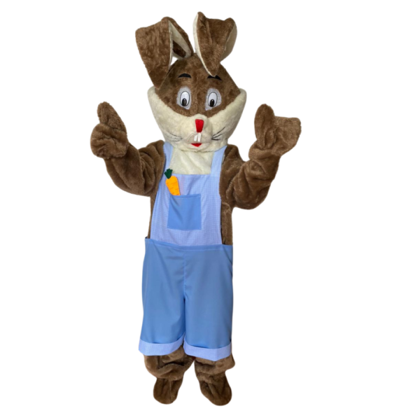 Coelho Mascote - Image 2