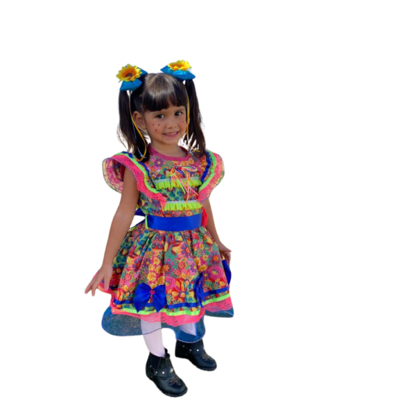 IFJ077 Florido C/ Sianinha (4 anos) - Image 2