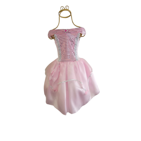Princesa Rosa Paetê